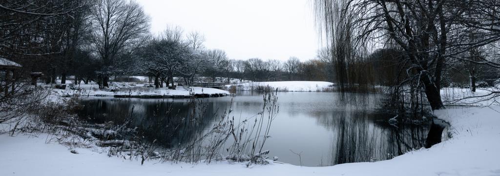 Snow Pond